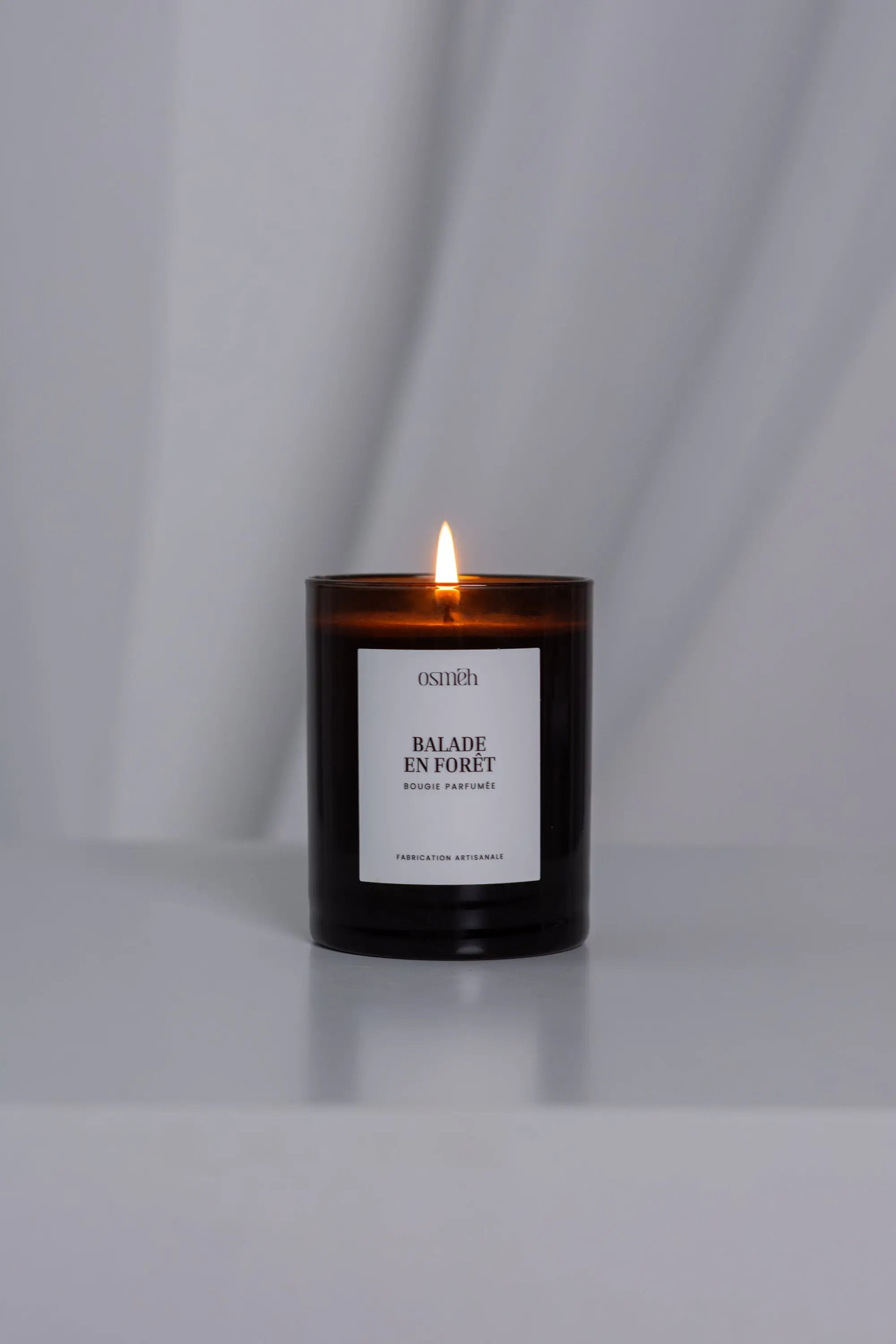 BALADE EN FORÊT Osmēh